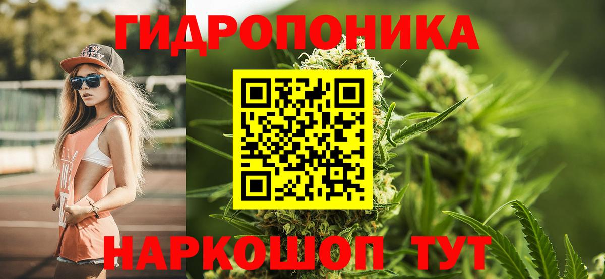 Бошки Шишки гибрид  Шишки марихуана конопля  Бошки марихуана сатива  Сегежа  Вход с VPN  Каннабис THC 21% 